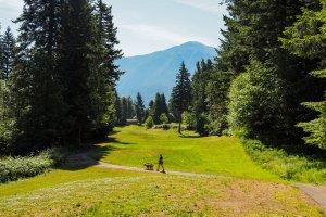 Dog Friendly Road Trip: Columbia River Gorge Washington
