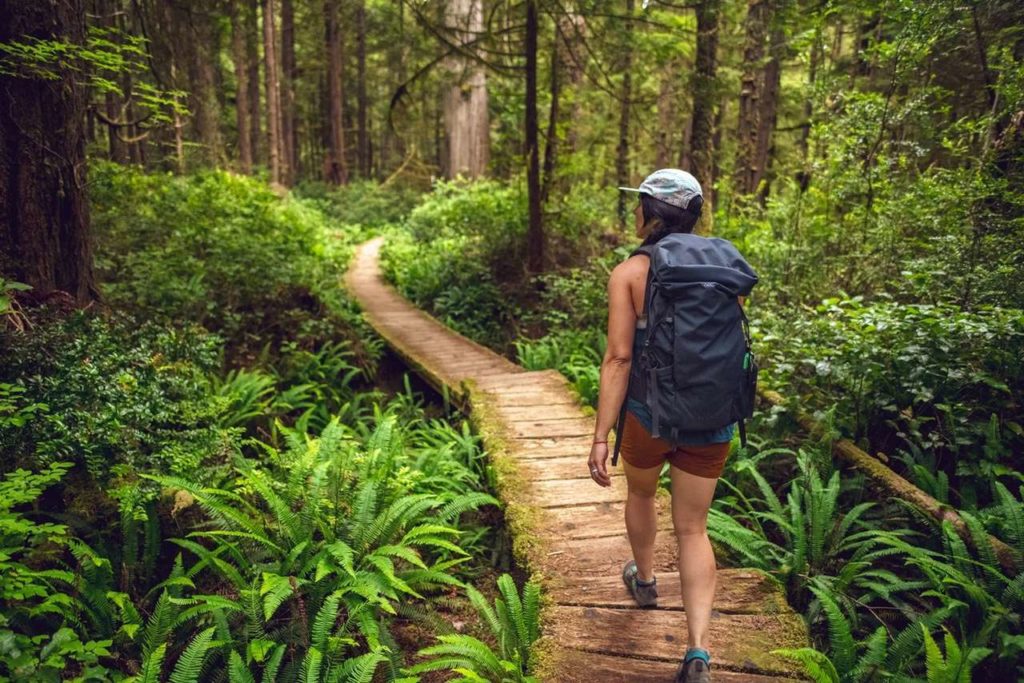Peninsulas Olympic National Park