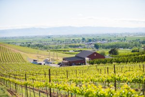 Spring Yakima Valley Itinerary: Festivals & More